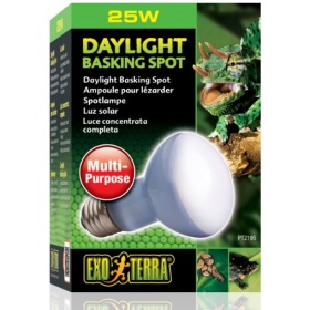 EXO TERRA Daylight 25W Ampoule Chauffante