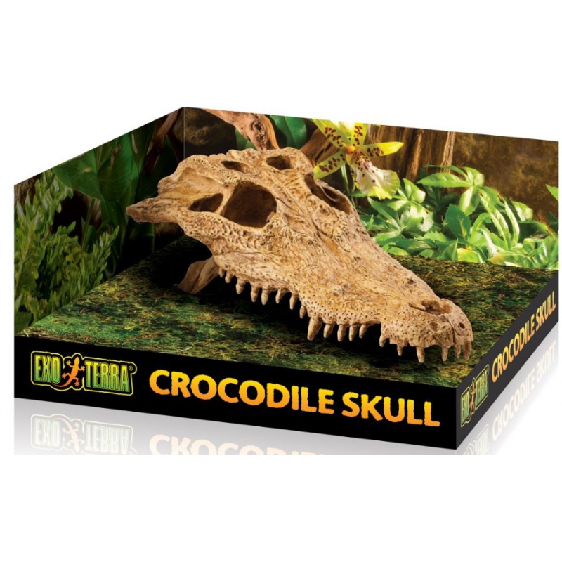 Crâne de crocodile pour terrarium EXO TERRA