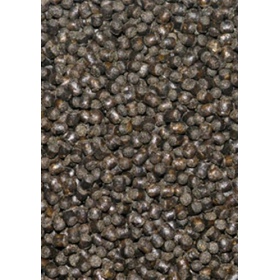 Cichlid Omni Pellets by Ocean Nutrition