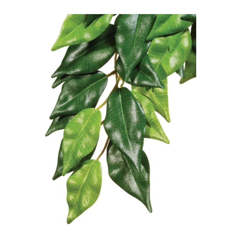 Plante suspendue Ficus 45 cm Exo Terra