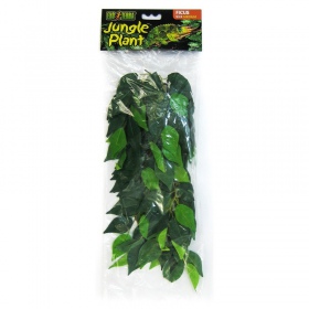 Plante Suspendue Ficus Exo Terra 55 cm