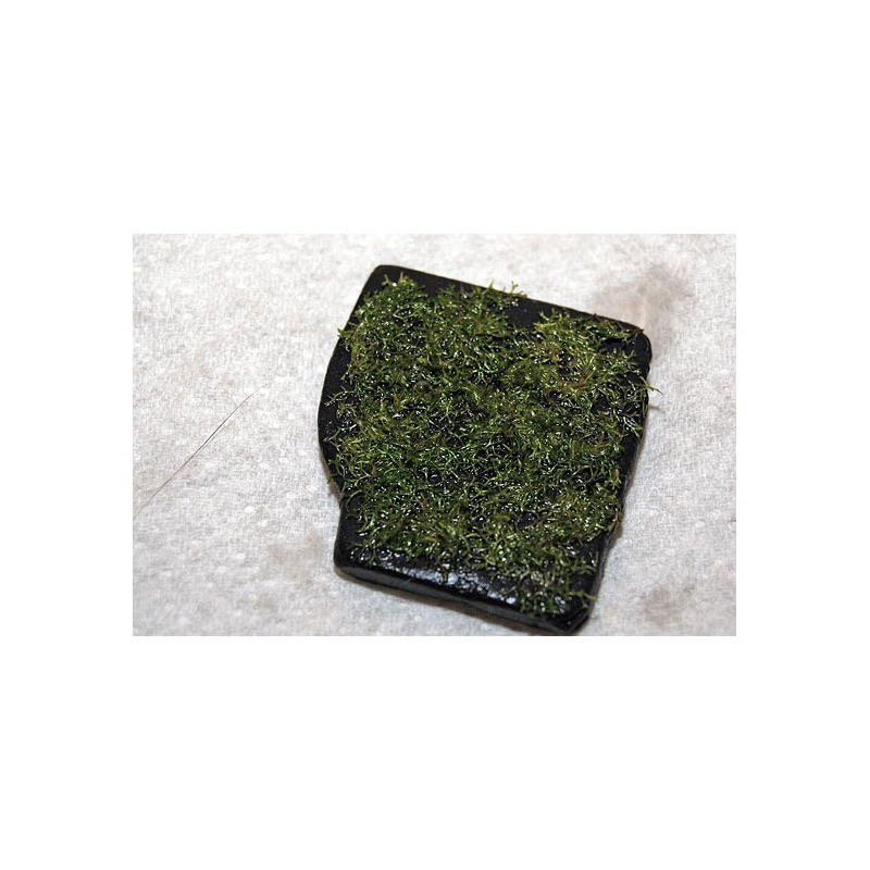 ADA Riccia Stones voor aquariuminrichting