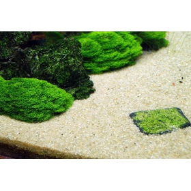 ADA Riccia Stones para decoração de aquários