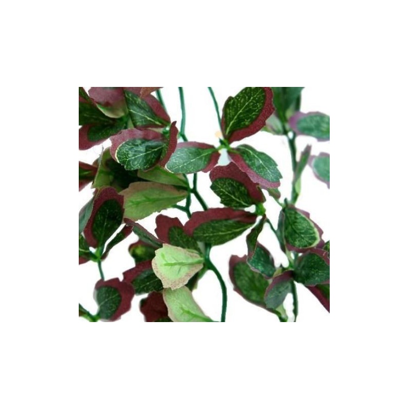 Plante suspendue lierre rouge 40cm