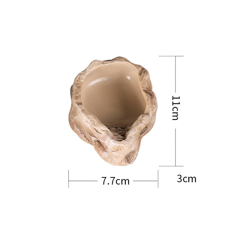 Ciotola ceramica Repti-Zoo per acqua