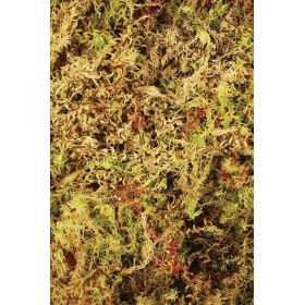 Komodo Habitat Moss 100g - Muschio Eco