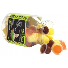 Komodo Jelly Pot Směs Příchutí Sklenice