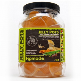 Komodo Jelly Pot Honey - їжа мед у гелі