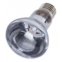 Repti-Zoo Neodymium Daylight 35W - lampadina riscaldante al neodimio