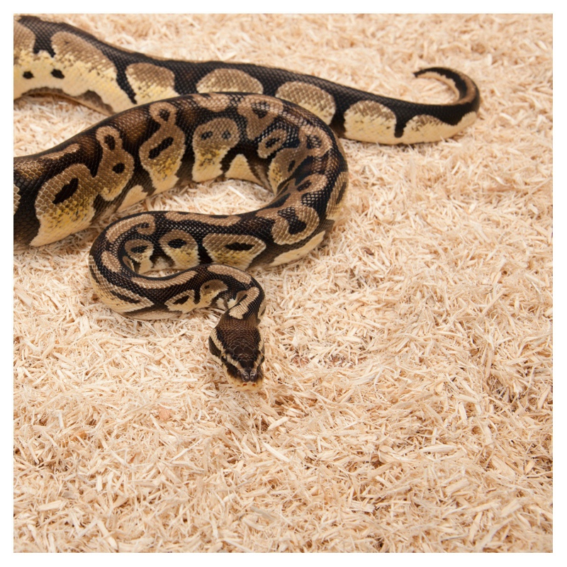 Repti-Zoo Aspen Snake Bedding 500 g - Naturmaterial