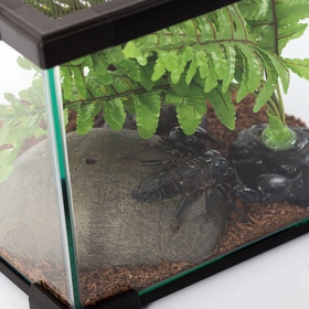 Repti-Zoo Terrarium AK 21x21x20