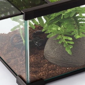 Repti-Zoo Terrarium AK 21x21x20