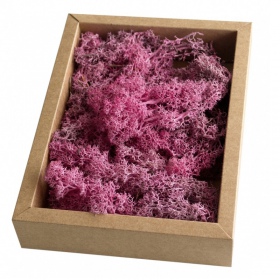 Moss Lavender Violet Secreto - 5g