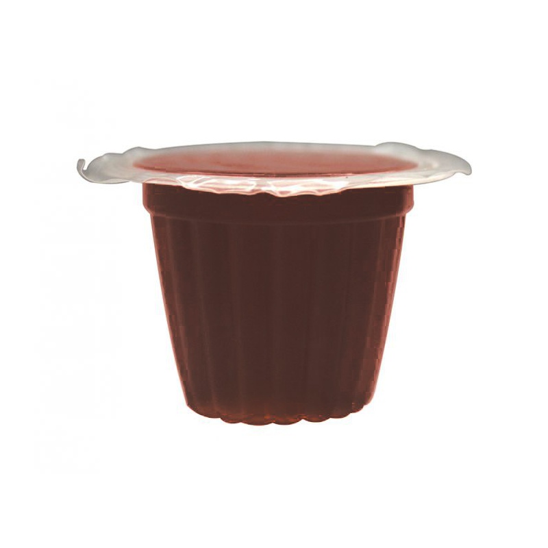 Komodo Jelly Pot Sucre Brun