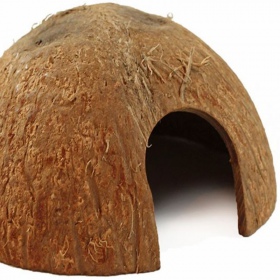 Terrario CocoCave L - Metade de coco liso