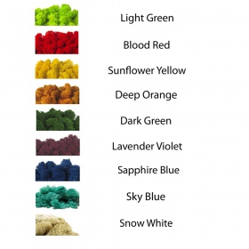 Secret Live Moss Colour Mix - 100g