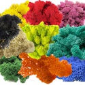 Mix di colori di muschio segreto dal vivo - mech vivo 100g