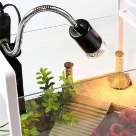 Lampe ReptiSun Long pour terrariums