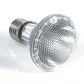 Komodo Halogen 35W - 3w1 halogeenlamp