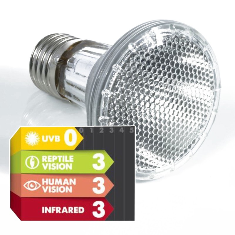 Komodo Halogen 35W - 3w1 halogeenlamp