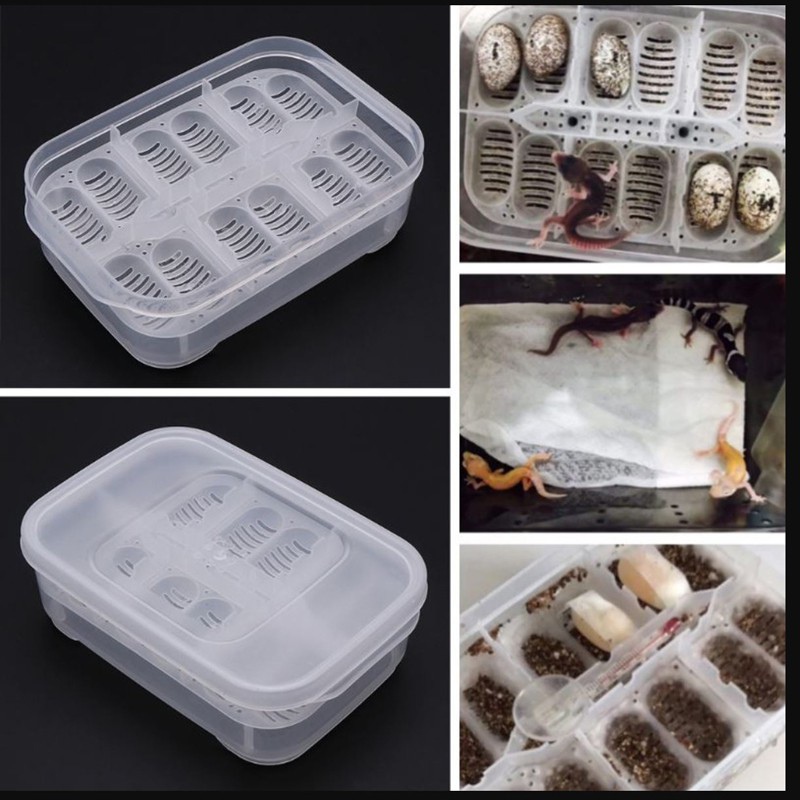 Terrario EggIncubator - ideaal voor 12 eieren