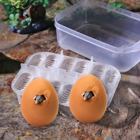 Terrario EggIncubator - ideaal voor 12 eieren