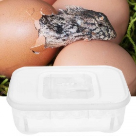 Terrario EggIncubator - ideaal voor 12 eieren