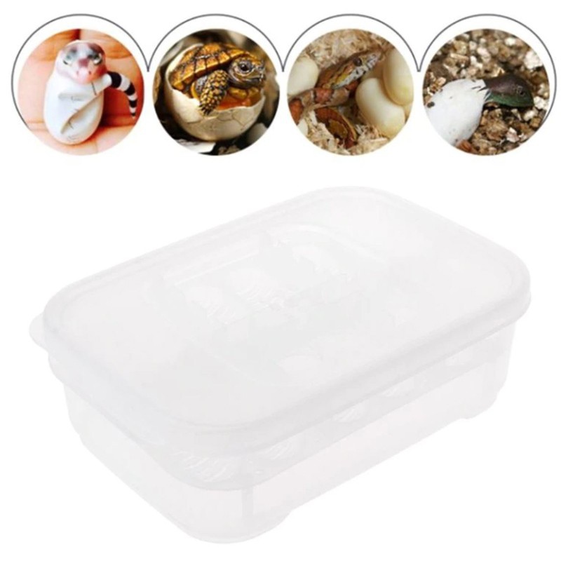 Terrario EggIncubator for 12 egg