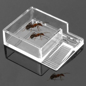 Ant Expert Ant Feeder - Mierenvoerhuis