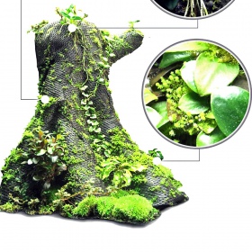 Wacool Planta de Floresta Tropical Hydrolon