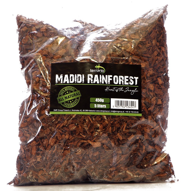 Terrario Madidi Rainforest 5l