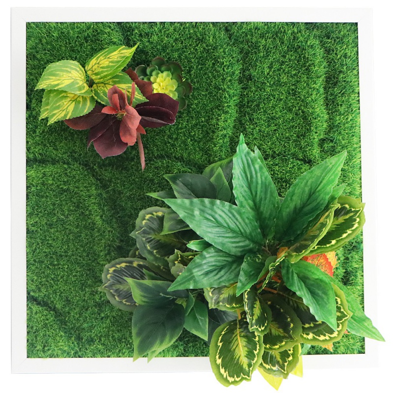 Jardín Vertical Garden Point 50x50