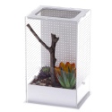 Repti-Zoo Mantis Box L - acryl terrarium voor bidsprinkhanen