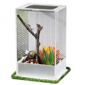 Repti-Zoo Boîte à Mante M - Terrarium