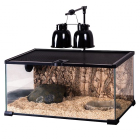 Repti-Zoo Simple Habitat - terrarium 31x21x20