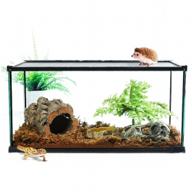 Repti-Zoo Habitat Semplice 31x21x20