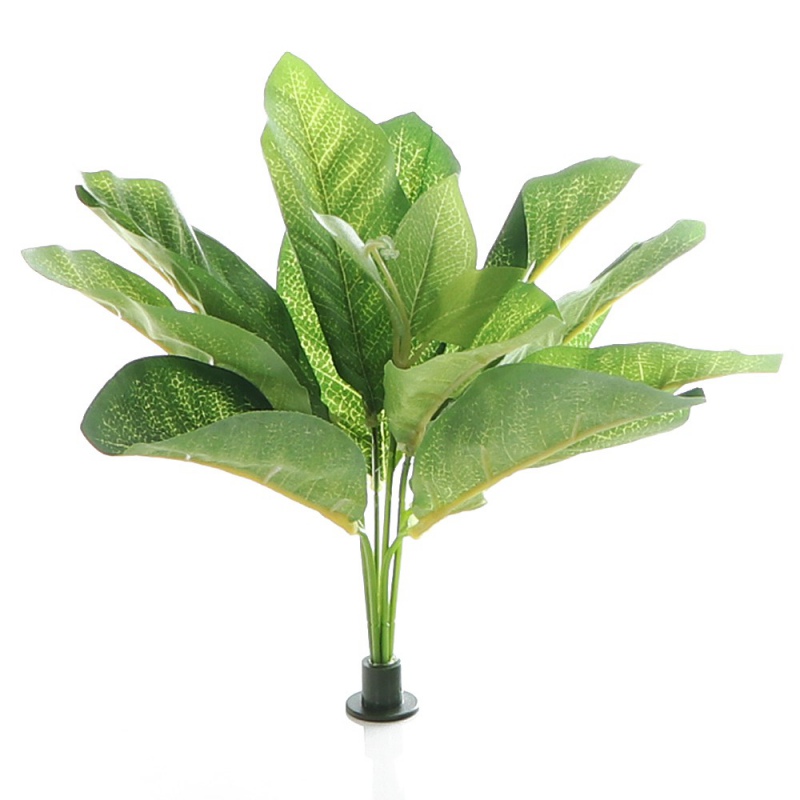 Bello Plant - Frog Houseplant XL