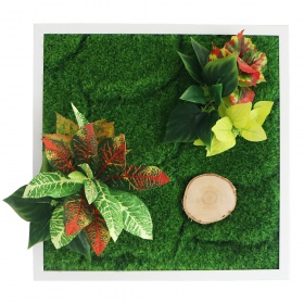 Bello Plant - Flame GreenPlant em ambiente moderno