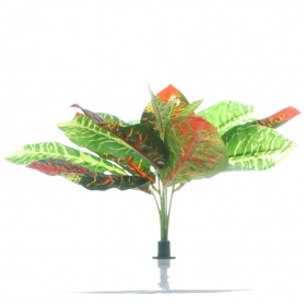 Bello Plant - Flame GreenPlant XL per immagini 3D