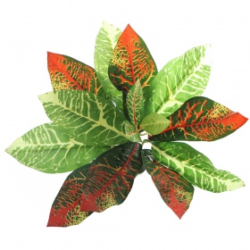 Bello Plant - Flame GreenPlant XL per immagini 3D