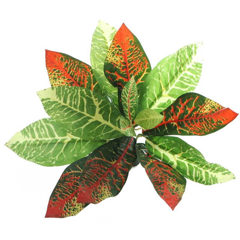 Bello Plant - Flame GreenPlant XL