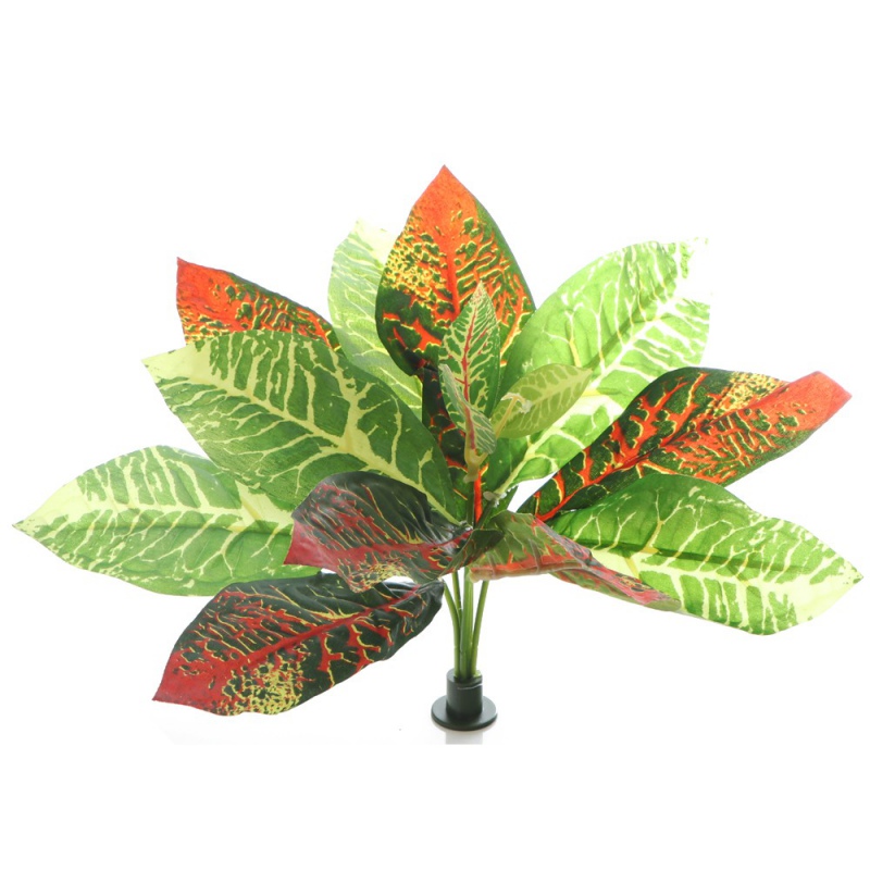 Bello Plant - Flame GreenPlant em ambiente moderno