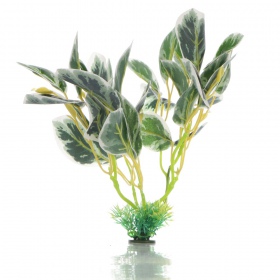 Bello Plant - Frozen Bloom 3D Wanddecoratie