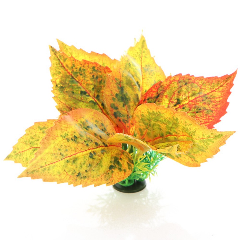 Planta Abedul dorado de otoño para Jardín 3D