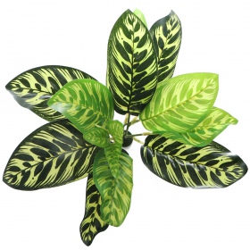 Bello Plant - Fishbone rastlina XL