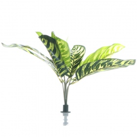 Bello Plant - Fishbone rastlina XL