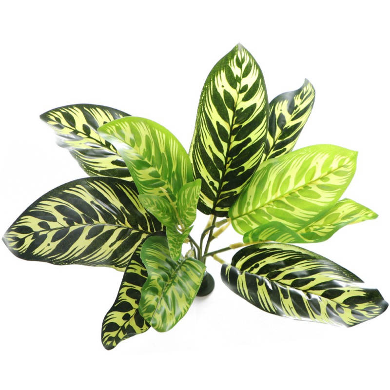 Bello Plant - Fishbone rastlina XL