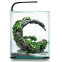 Aquael Set di gamberetti Giorno&Notte 20L Nero - set acquario