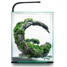 Set acquario Aquael 20L Giorno & Notte Nero