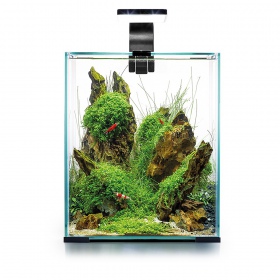 Set acquario Aquael 20L Giorno & Notte Nero